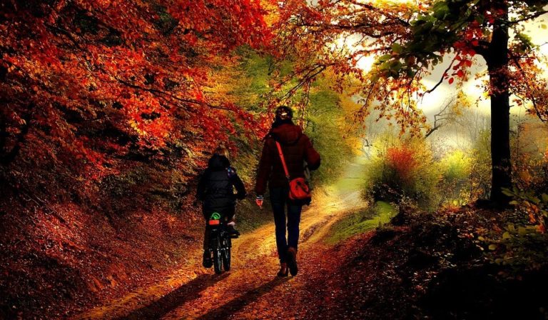 Five Fall Activities For The Whole Family